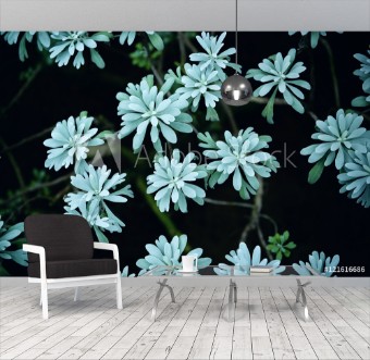 Picture of 121616686