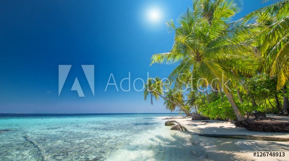 Picture of Traumstrand