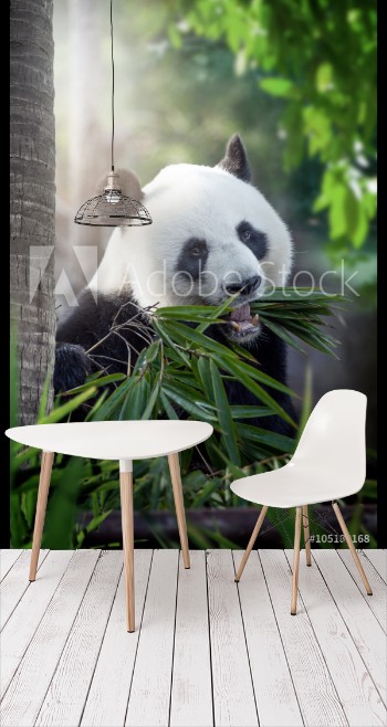 Bild på panda
