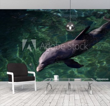 Picture of underwater