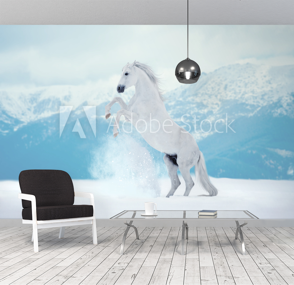 White reared horse on snow on mountains background valmistajalta  Valokuvatapetit | Kotitapetti