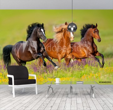 Valokuvatapetti hevonen - Osta valokuvatapetti hevonen verkkokaupastamme |  Kotitapetti