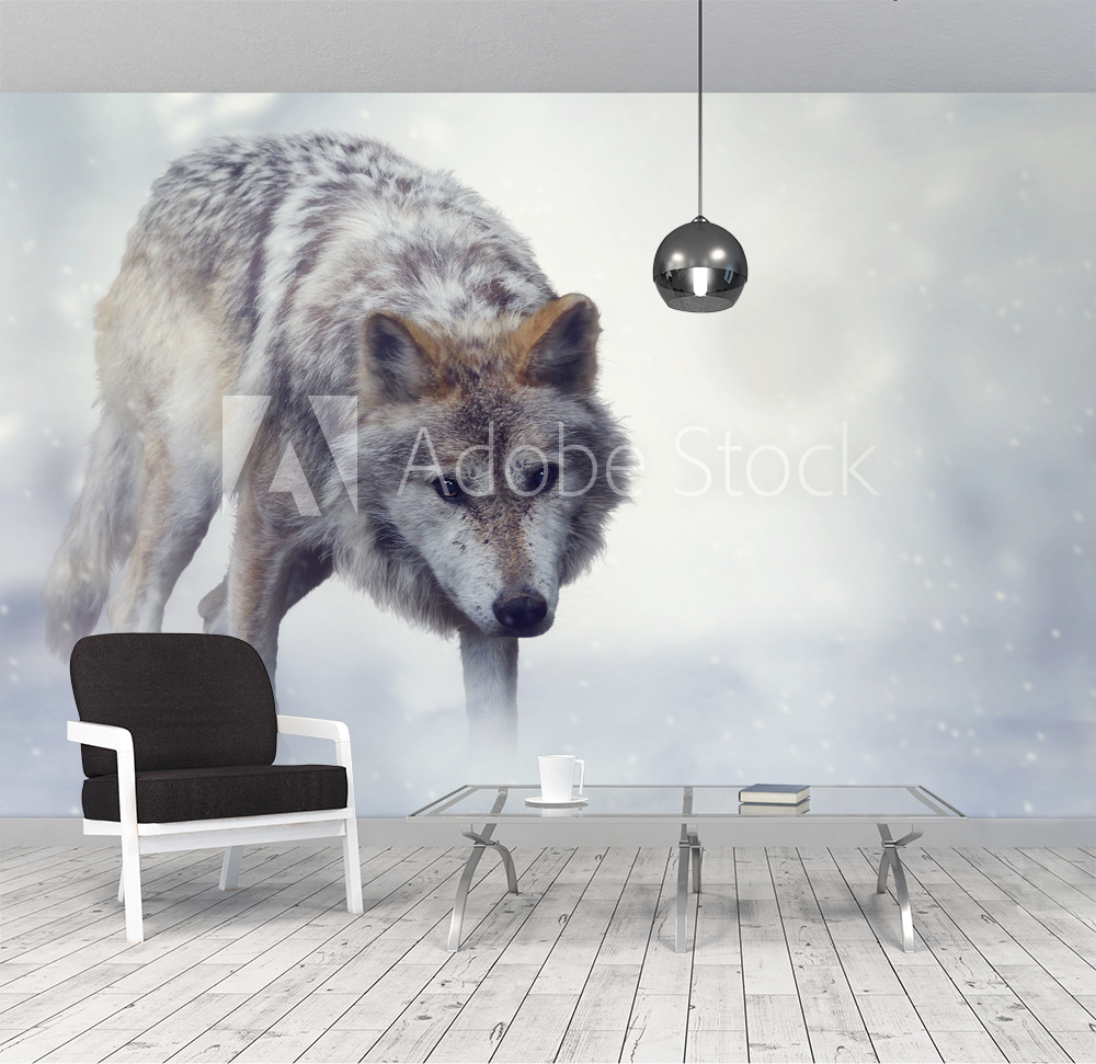 Wolf In Winter Time valmistajalta Valokuvatapetit | Kotitapetti