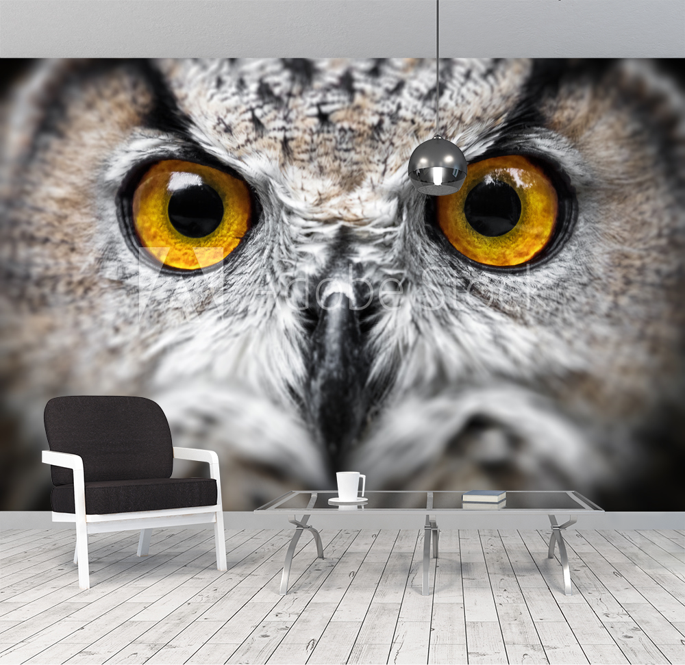 Owl Portrait owl eyes from Wallmural | Familywallpapers