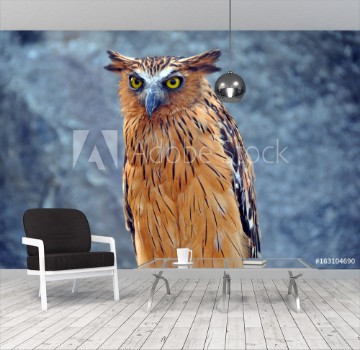 Picture of Owl