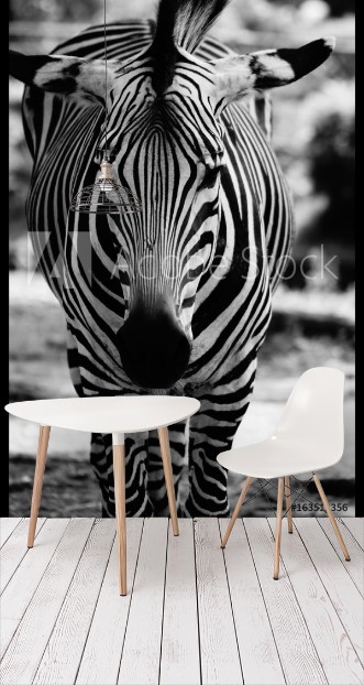 Picture of 163512356