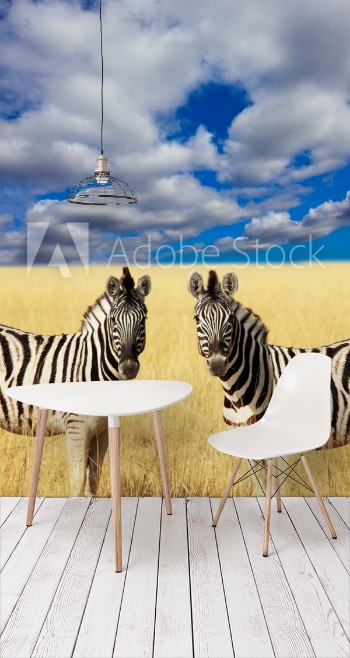 Image de Zebra