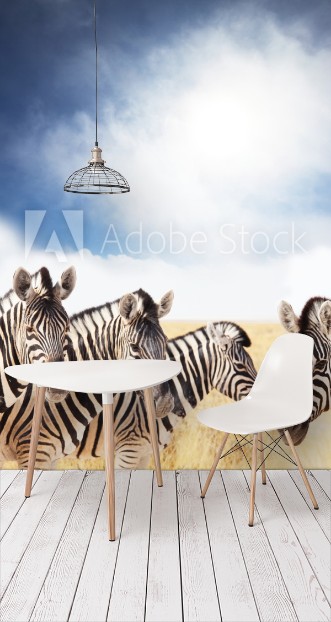 Picture of Zebra
