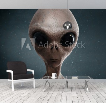 Picture of Alien