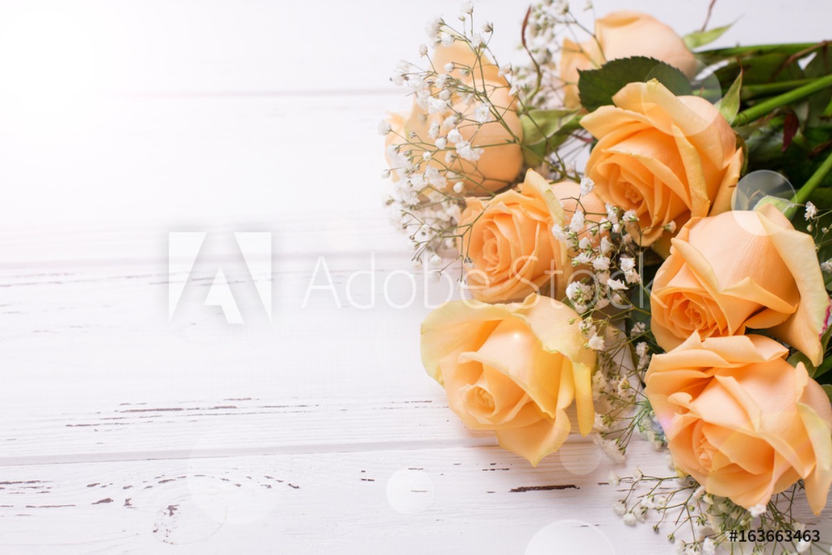 Fresh peach color roses flowers on white wooden background in ray of ...