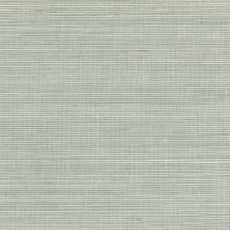 Picture of Kanoko Grasscloth - W7559-05