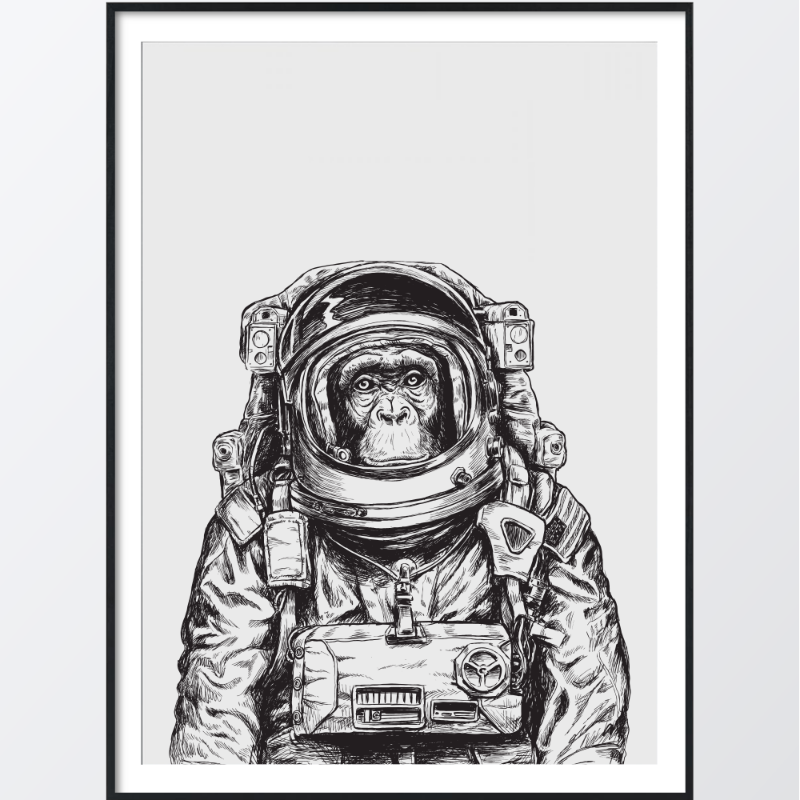 Bild på Monkey Astronaut poster