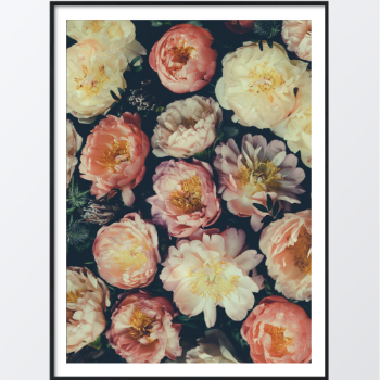 Bild på Vintage bouquet poster