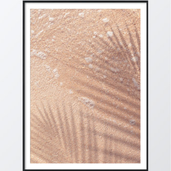 Picture of Shadow of coconut plakat