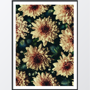 Picture of Beautiful flowers plakat