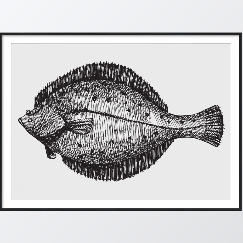 Bild på Hand-drawn flounder poster