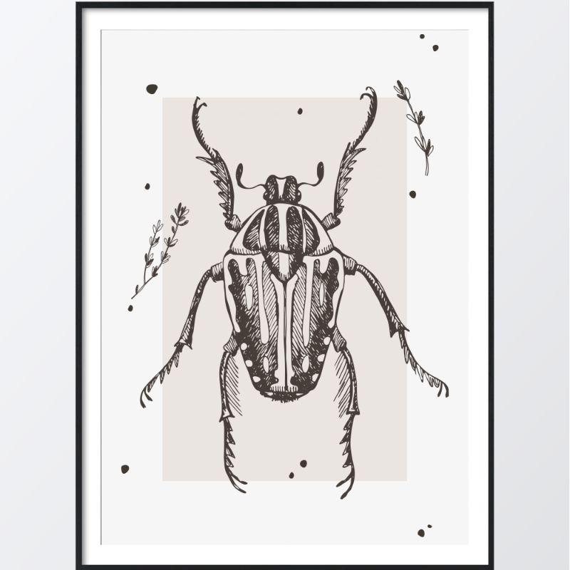 Bild på Hand-drawn beetle poster