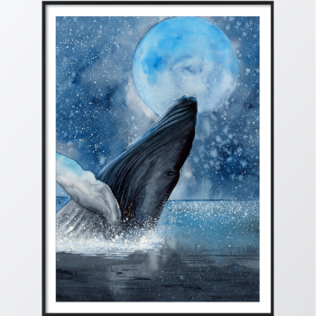 Picture of Watercolor whale II plakat