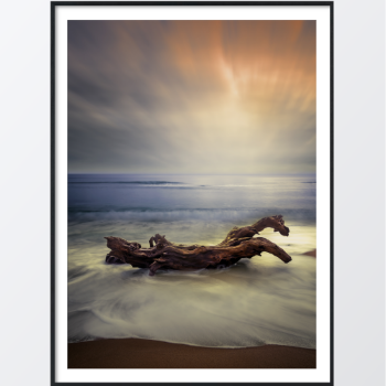 Picture of Morning light plakat