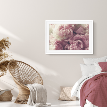 Picture of Pink peonies plakat