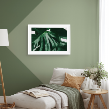Picture of Monstera leaves III plakat