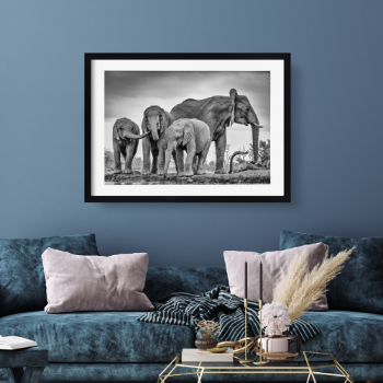 Picture of An elephant family plakat