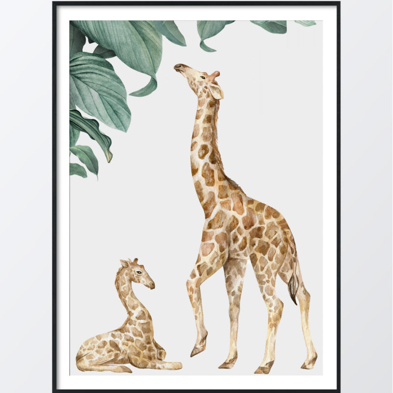 Bild på Giraffes are helped poster