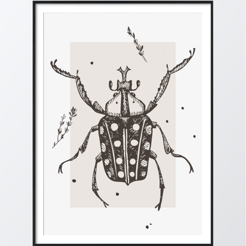 Bild på Illustrated beetle poster