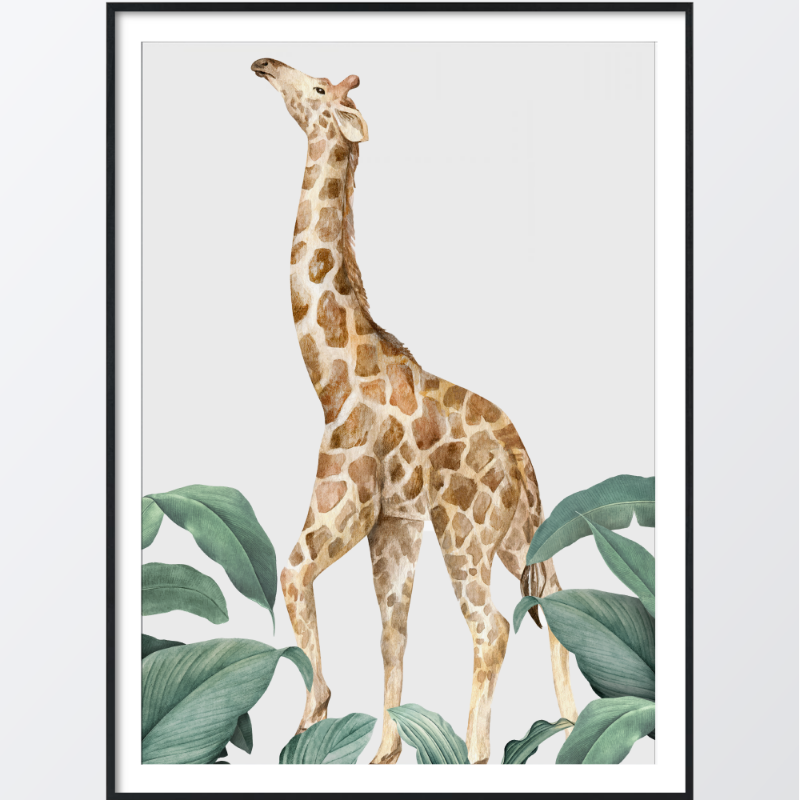 Picture of Proud giraffe plakat