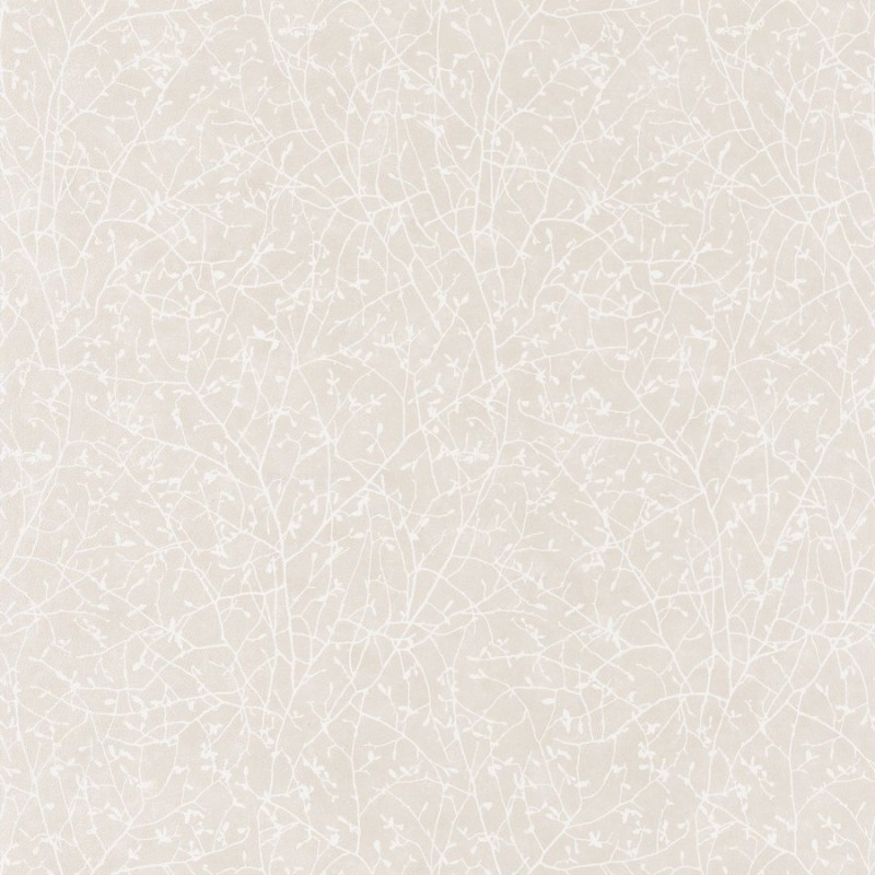 Picture of So White 4 SPRING Blanc/Beige - SWHT83771122