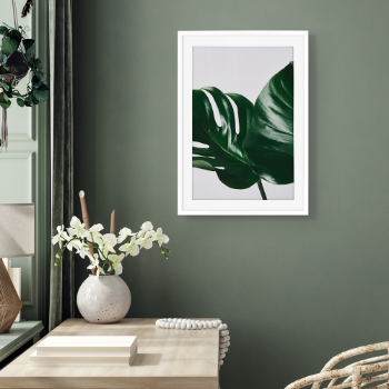 Picture of Monstera leaves plakat
