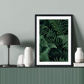 Picture of Fern leaves plakat