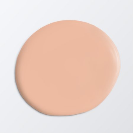 Picture of Paint - Colour W20 Aprikos