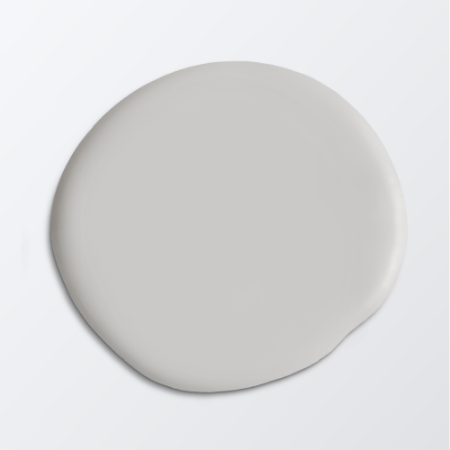 Picture of Paint - Colour W31 Silver