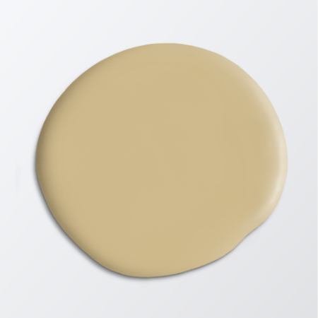 Picture of Paint - Colour W50 Videknopp