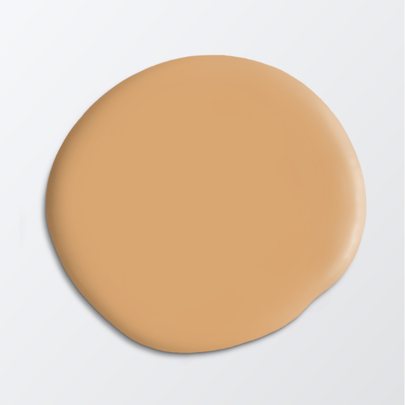 Picture of Paint - Colour W51 Bränd apelsin