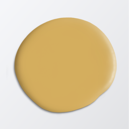 Picture of Paint - Colour W52 Curry