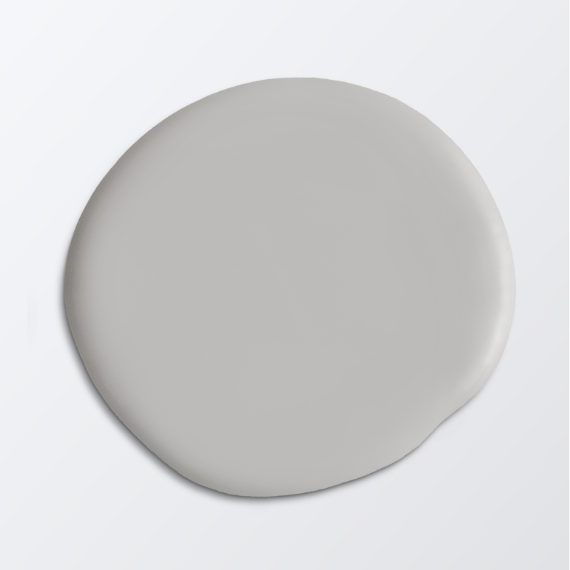 Picture of Paint - Colour W54 Dimma