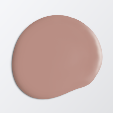 Picture of Paint - Colour W71 Rostrosa