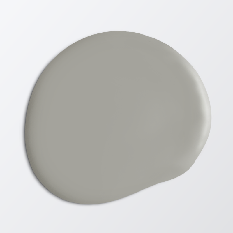 Picture of Paint - Colour W76 Betong