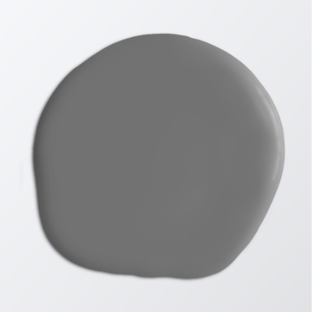 Picture of Paint - Colour W99 Grafit