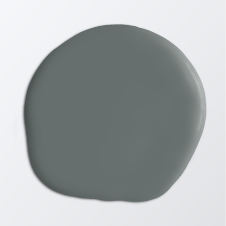 Picture of Paint - Colour W100 Alg