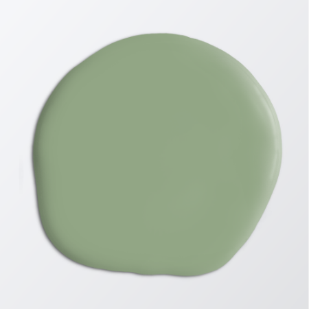 Picture of Paint - Colour W112 Björkris