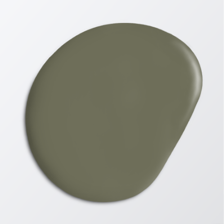 Picture of Paint - Colour W115 Skogsmossa