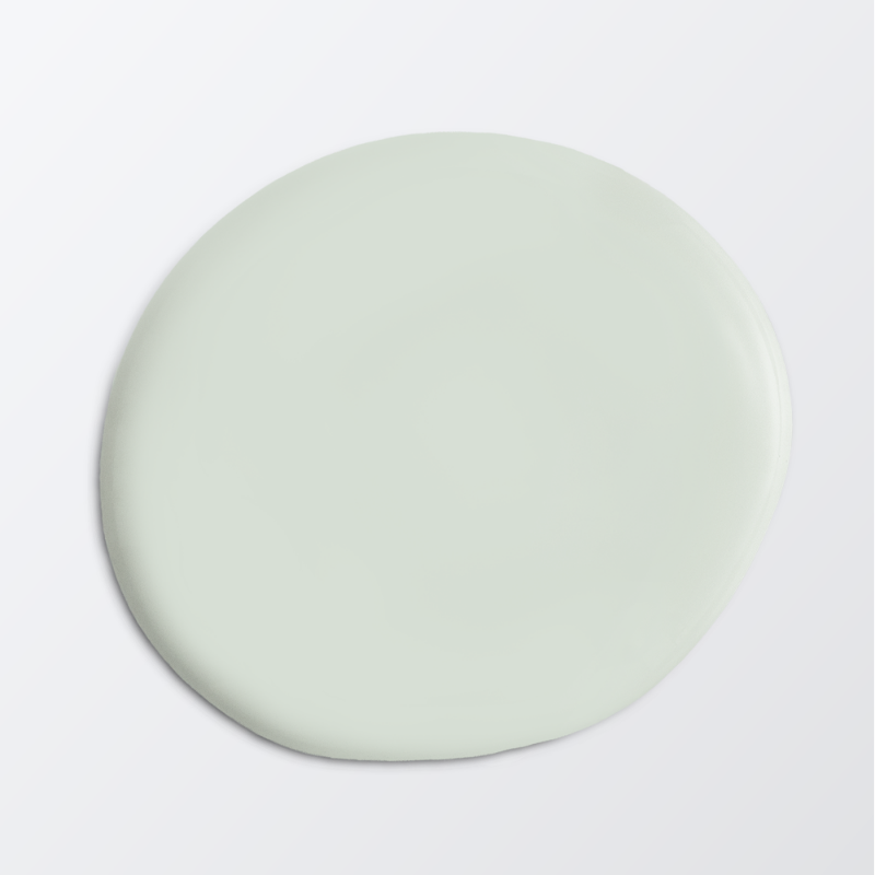 Immagine di Vernice per soffitto - Colore W13 Mint