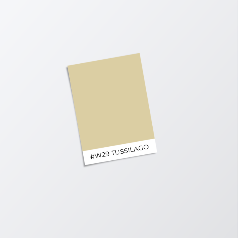 Image de Peinture pour plafond - Couleur W29 Tussilago