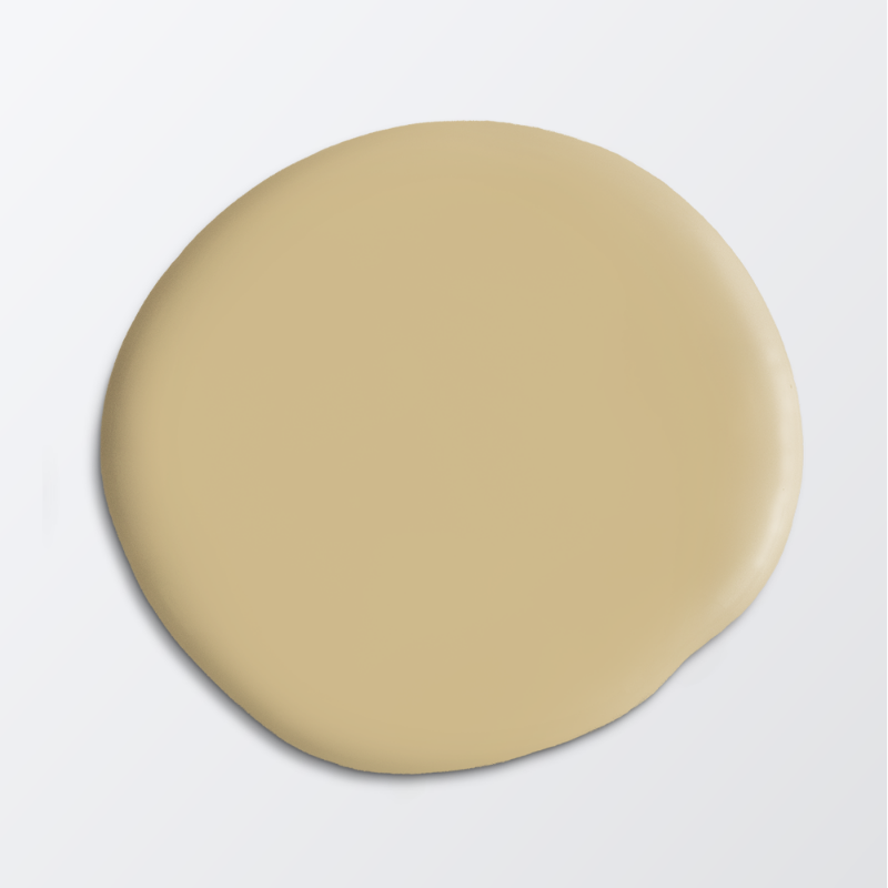 Picture of Ceiling paint - Colour W50 Videknopp