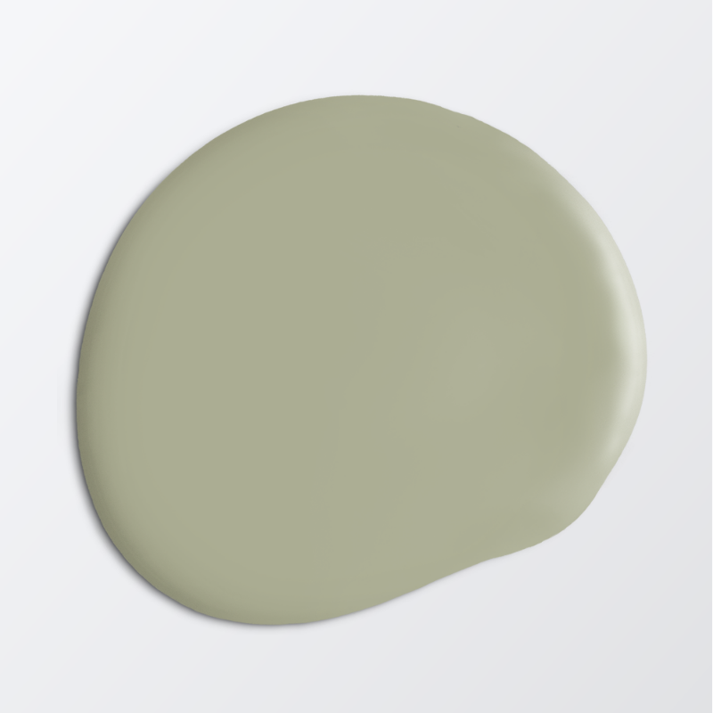 Image de Peinture pour plafond - Couleur W67 Nygräs