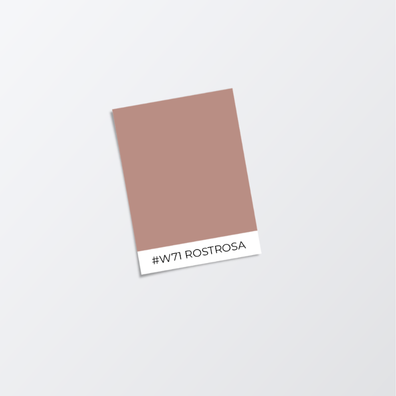 Immagine di Vernice per soffitto - Colore W71 Rostrosa