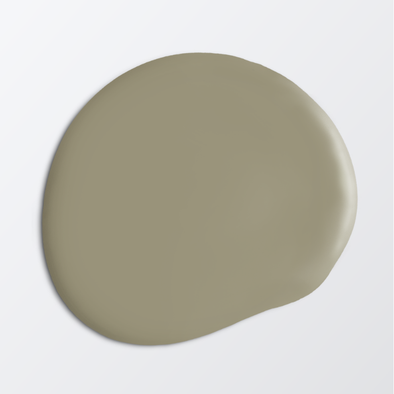 Image de Peinture pour plafond - Couleur W81 Vårskog